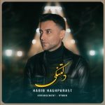 حبیب حق پرست دلتنگی