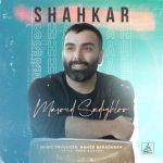 مسعود صادقلو شاهکار