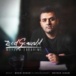 میثم ابراهیمی زود گذشت