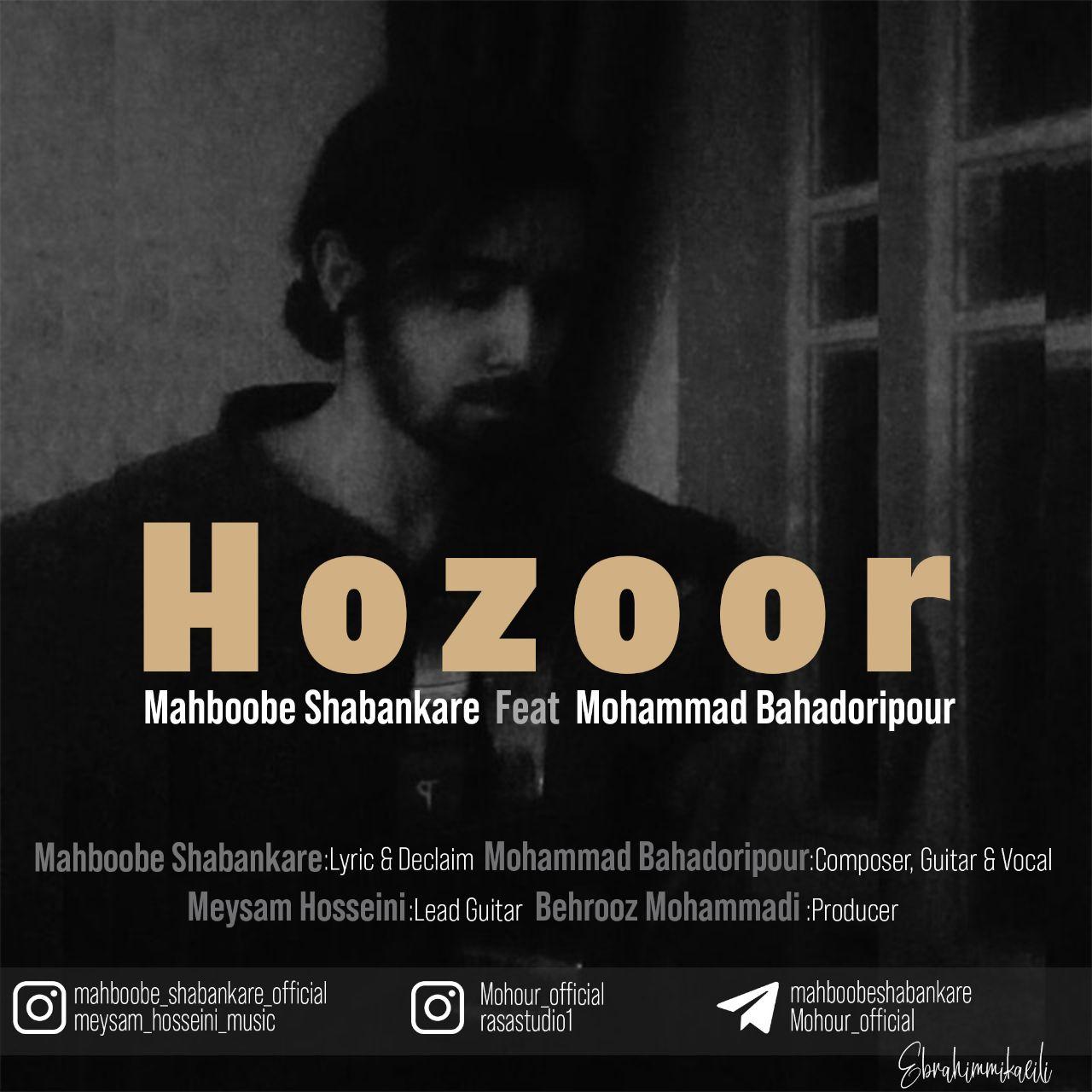 محمد بهادری پور - حضور