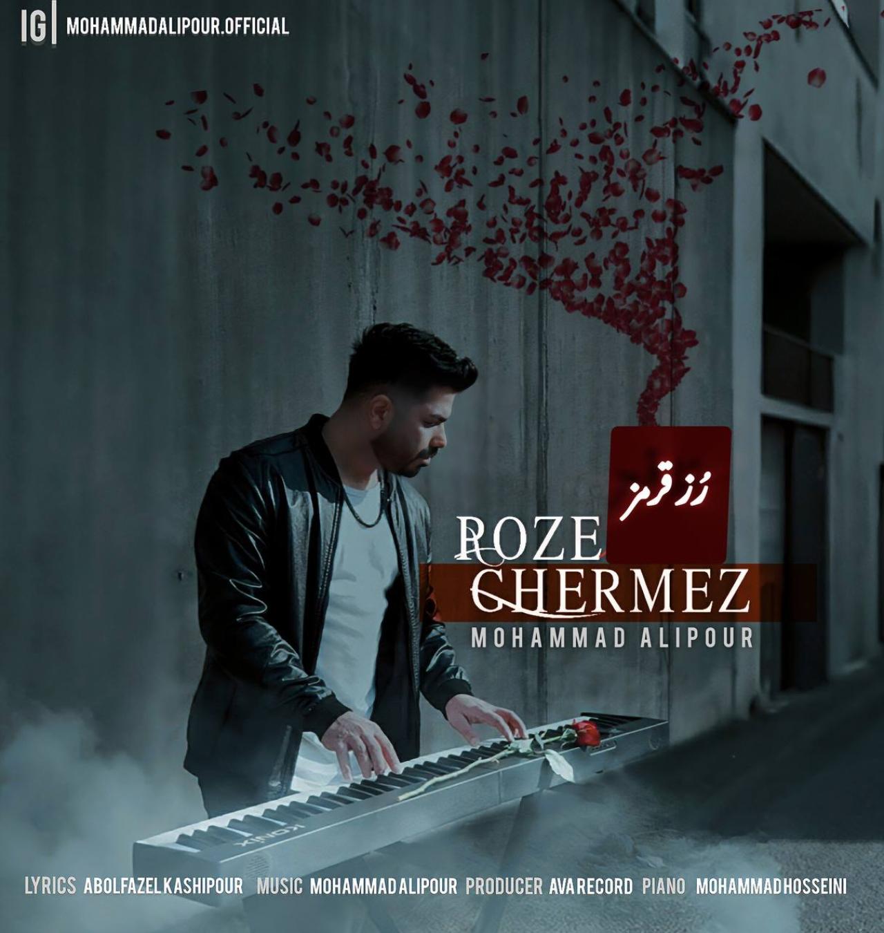 محمد علیپور - رز قرمز