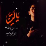 محمدطاها اعتمادی یا لیتنا