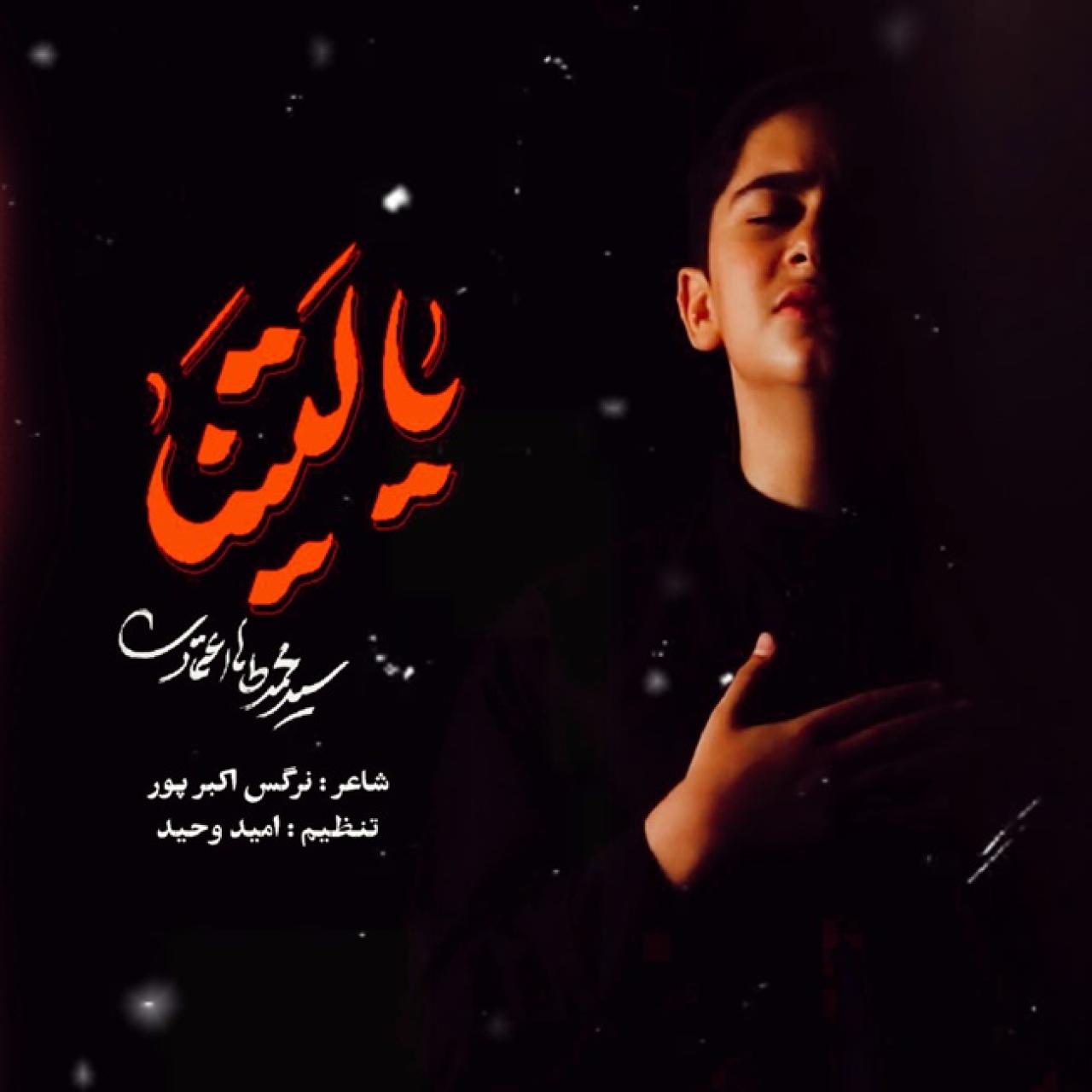 محمدطاها اعتمادی - یا لیتنا