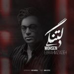 محسن ابراهیم زاده دلتنگی