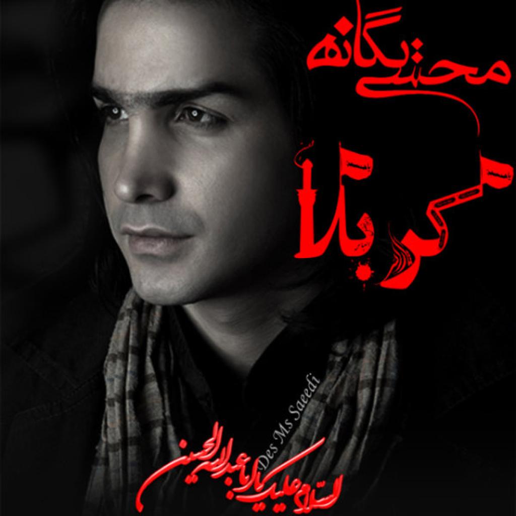 محسن یگانه - کربلا