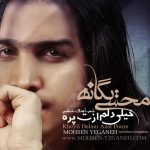 محسن یگانه خیلی دلم ازت پره