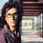 مرتضی پاشایی به گوشت میرسه