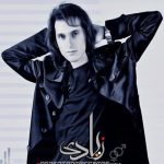 مرتضی پاشایی زیادی