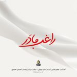 راغب مادر