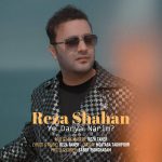 رضا شاهان یه دریا نریم