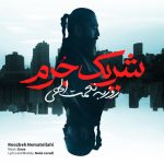 روزبه نعمت اللهی شریک جرم