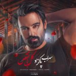 سهراب پاکزاد گل بی نقص