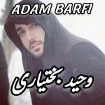 وحید بختیاری آدم برفی