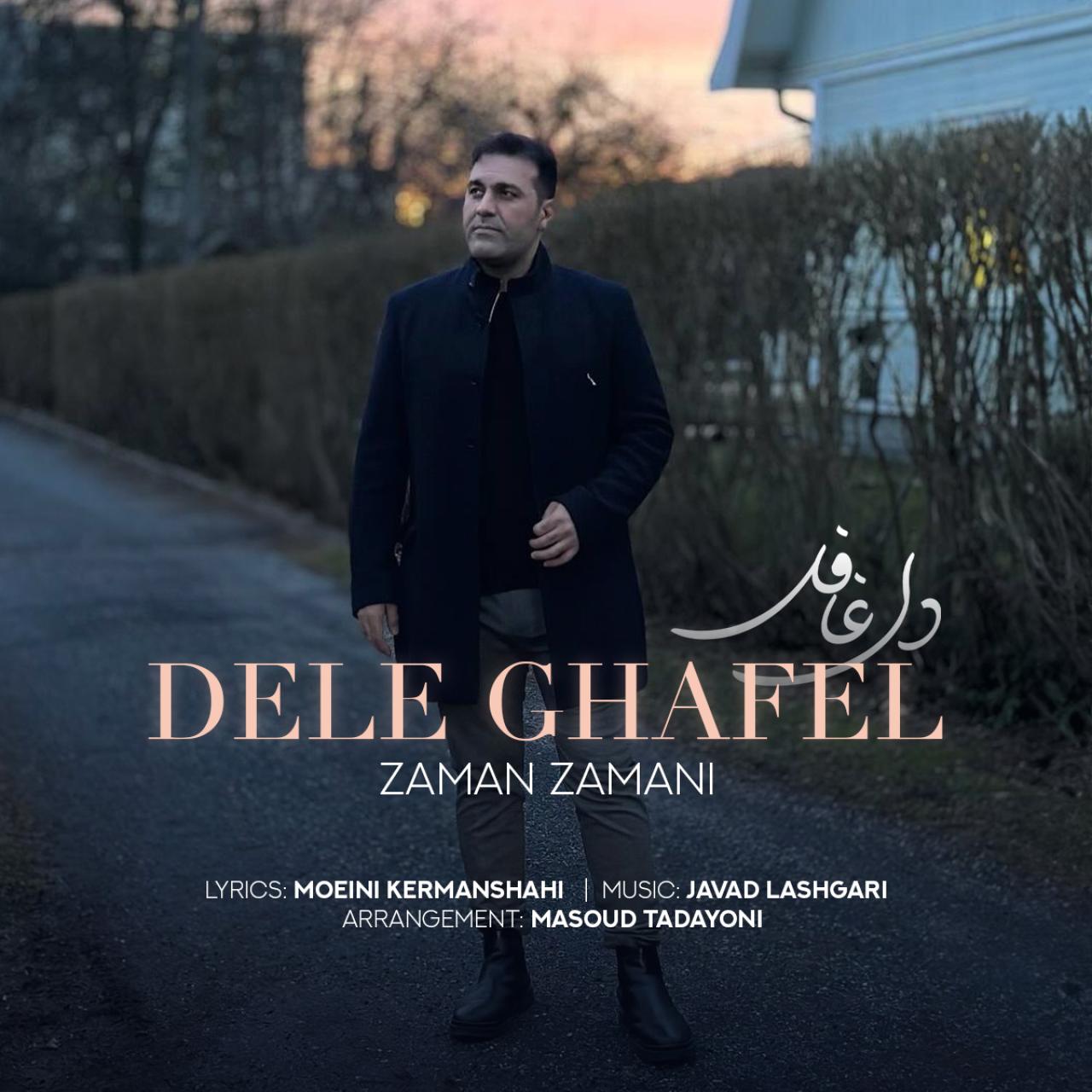 زمان زمانی - دل غافل