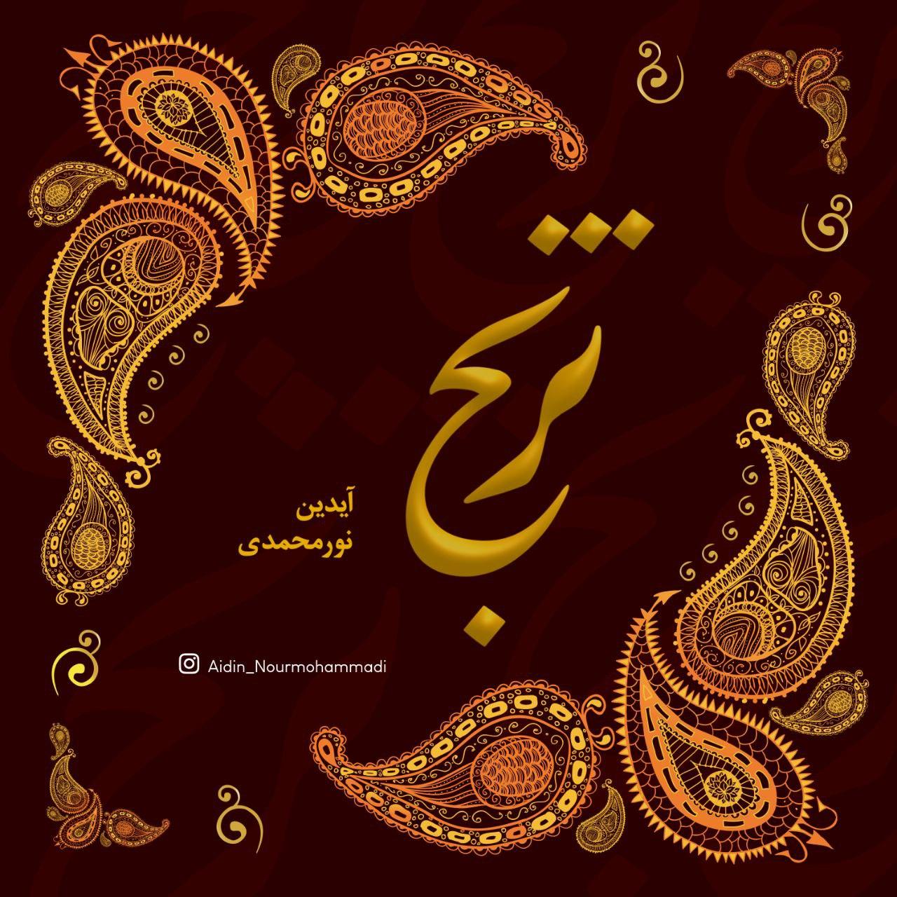 آیدین نورمحمدی - ترنج