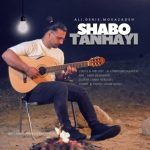 علی دریس موسی زاده شب و تنهایی