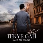 امیر علی حمیدی تکیه گاه