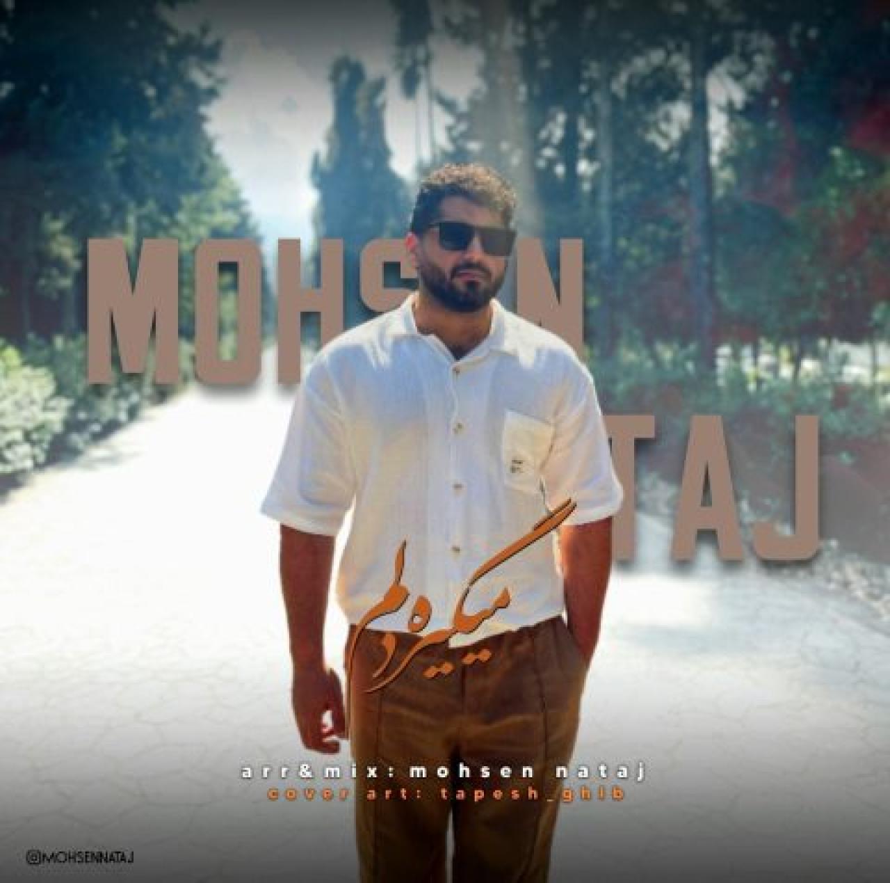 محسن نتاج - میگیره دلم