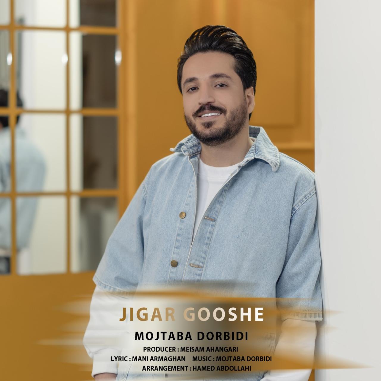 مجتبی دربیدی - جیگر گوشه
