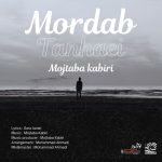 مجتبی کبیری مرداب تنهایی