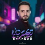 شهداد دوست دارم