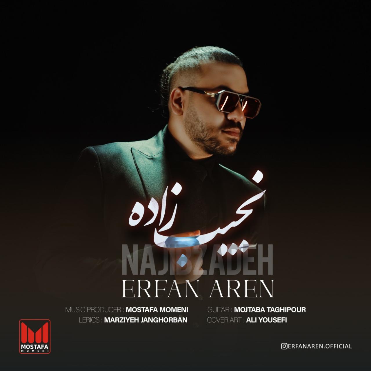 عرفان آرن - نجیب زاده