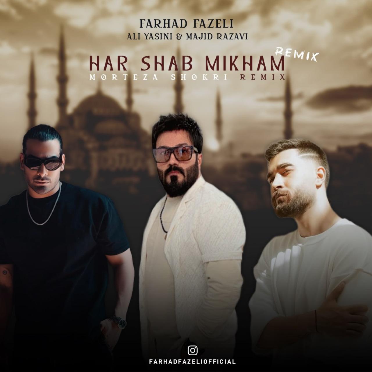 فرهاد فاضلی - هرشب میخوام (مرتضی شکری ریمیکس)