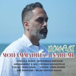 محمدرضا نادمی رویایی