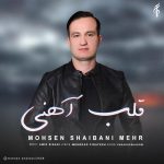 محسن شیبانی مهر قلب آهنی