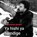 مرتضی جوانی یا هیشکی یا همدیگه
