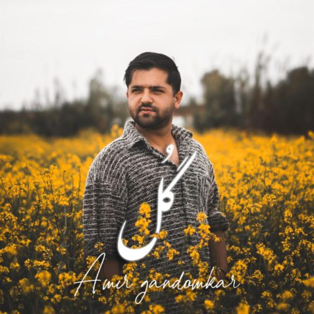 امیر گندم کار - گل