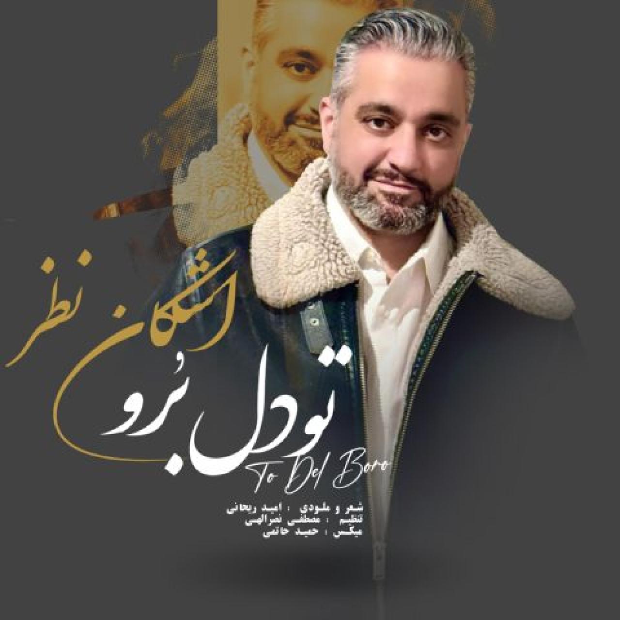 اشکان نظر - تو دل برو