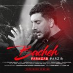 فرزاد فرزین