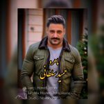 حمید سلطانی ماه رو