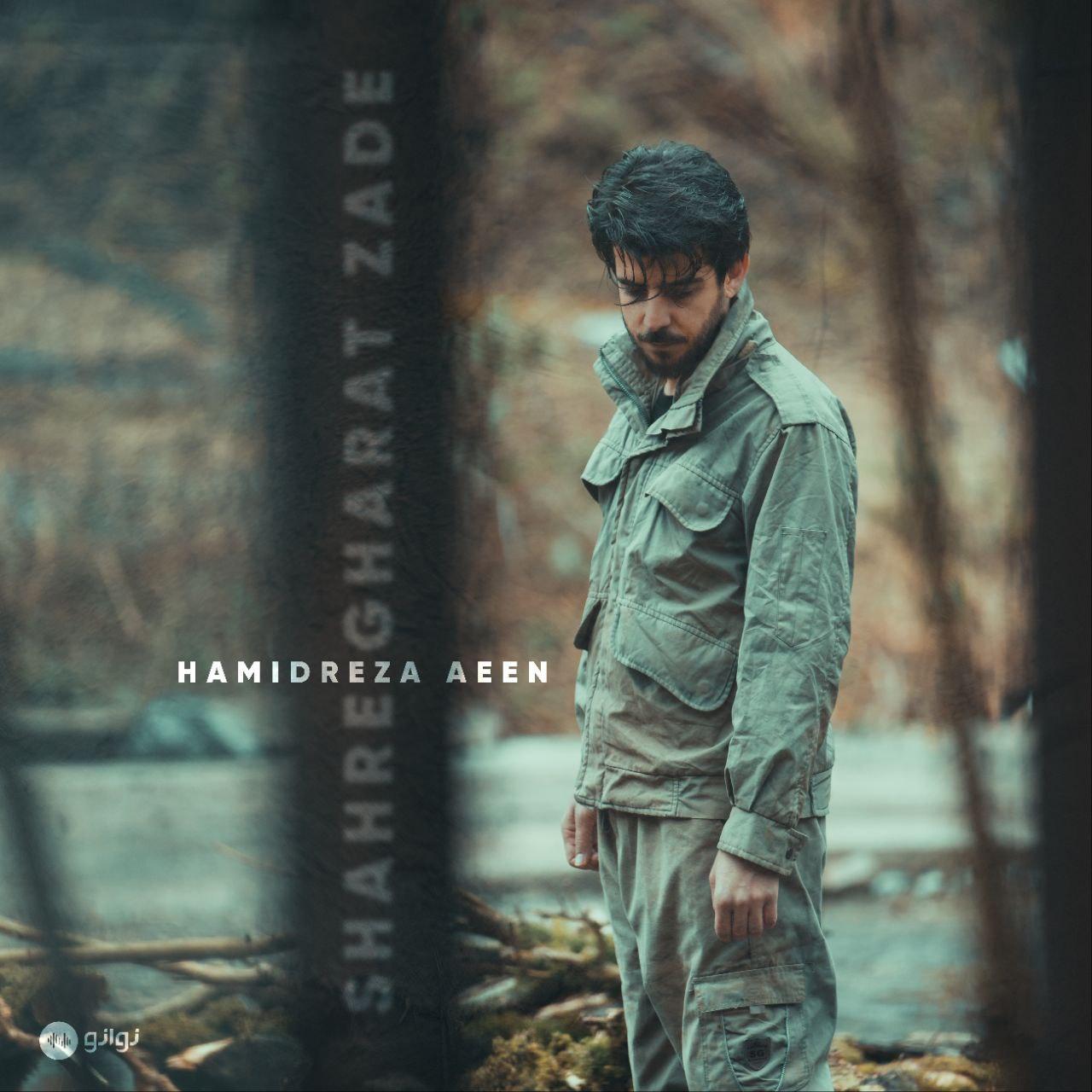 حمیدرضا آیین - شهر غارت زده