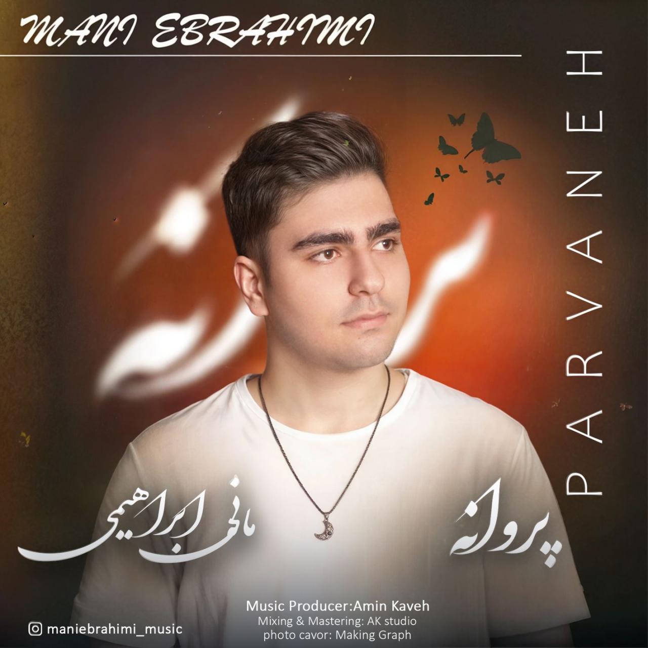 مانی ابراهیمی - پروانه