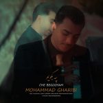 محمد غریبی چه بگویم