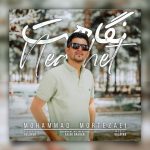 محمد مرتضایی نگاهت
