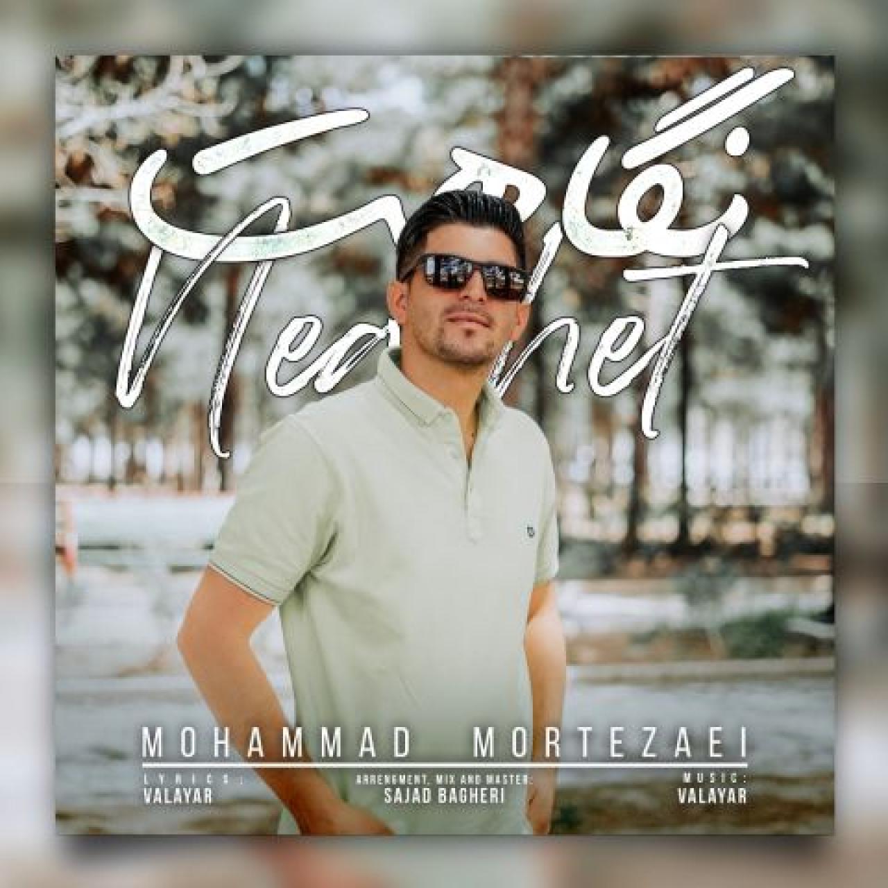 محمد مرتضایی - نگاهت