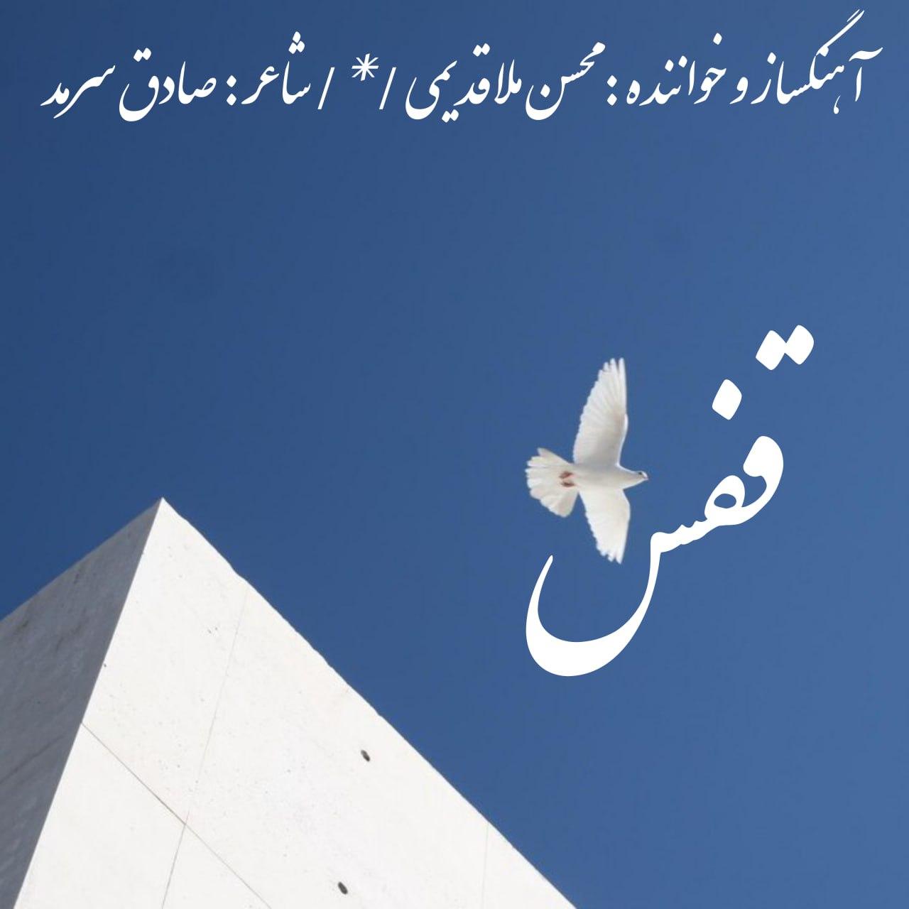 محسن ملاقدیمی - قفس