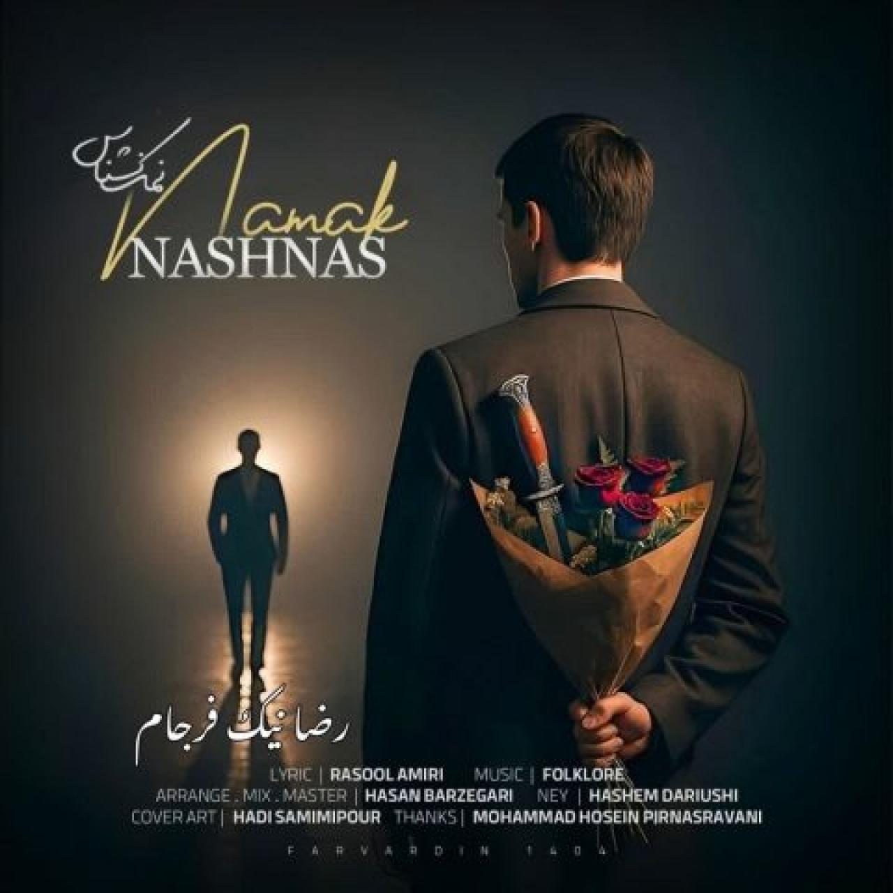 رضا نیک فرجام - نمک نشناس