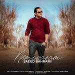 سعید بهرامی نمیزارم
