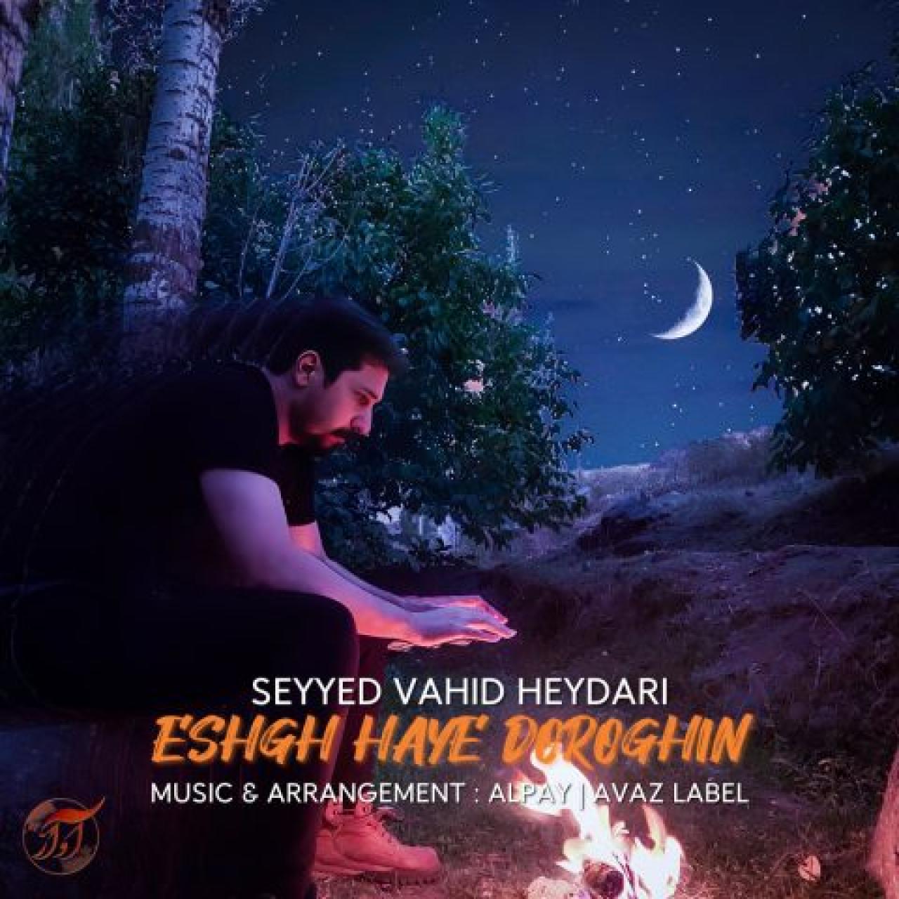 سید وحید حیدری - عشق های دروغین