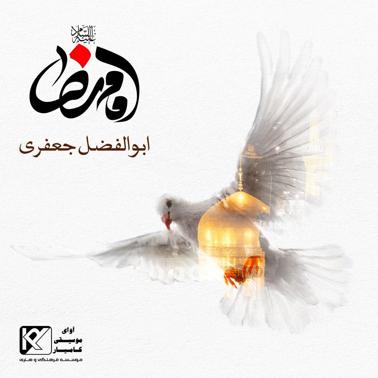 ابوالفضل جعفری - امام رضا