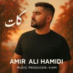 امیر علی حمیدی کات