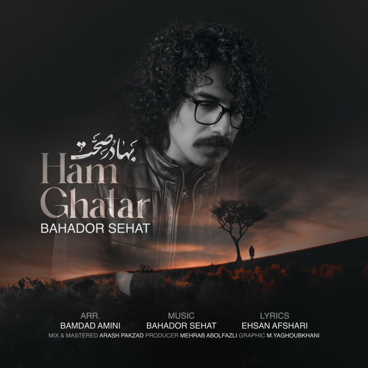 بهادر صحت - هم قطار