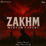 میثم طاهری زخم