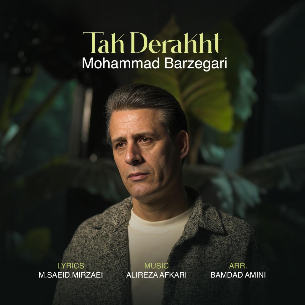 محمد برزگری - تک درخت