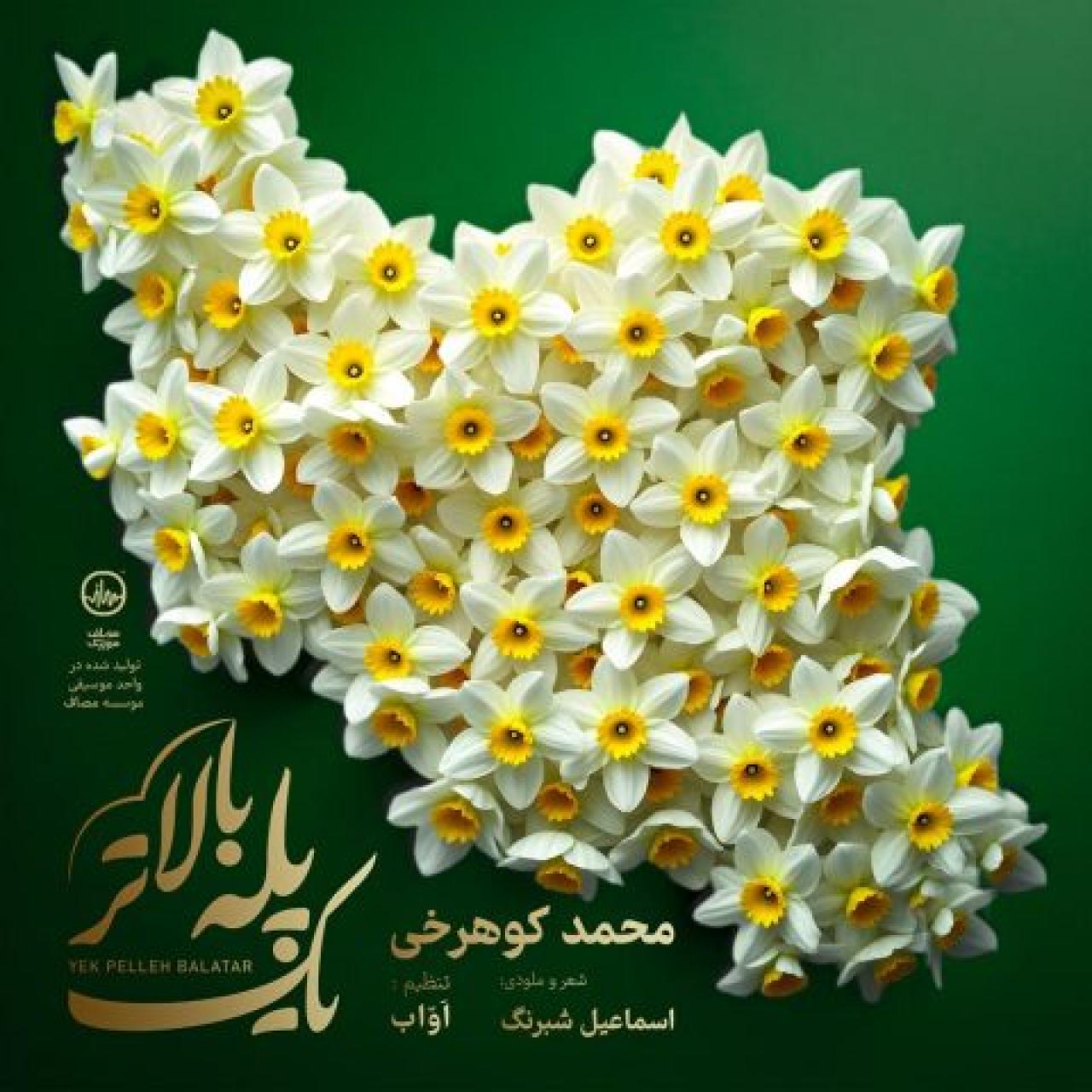 محمد کوهرخی - یک پله بالاتر