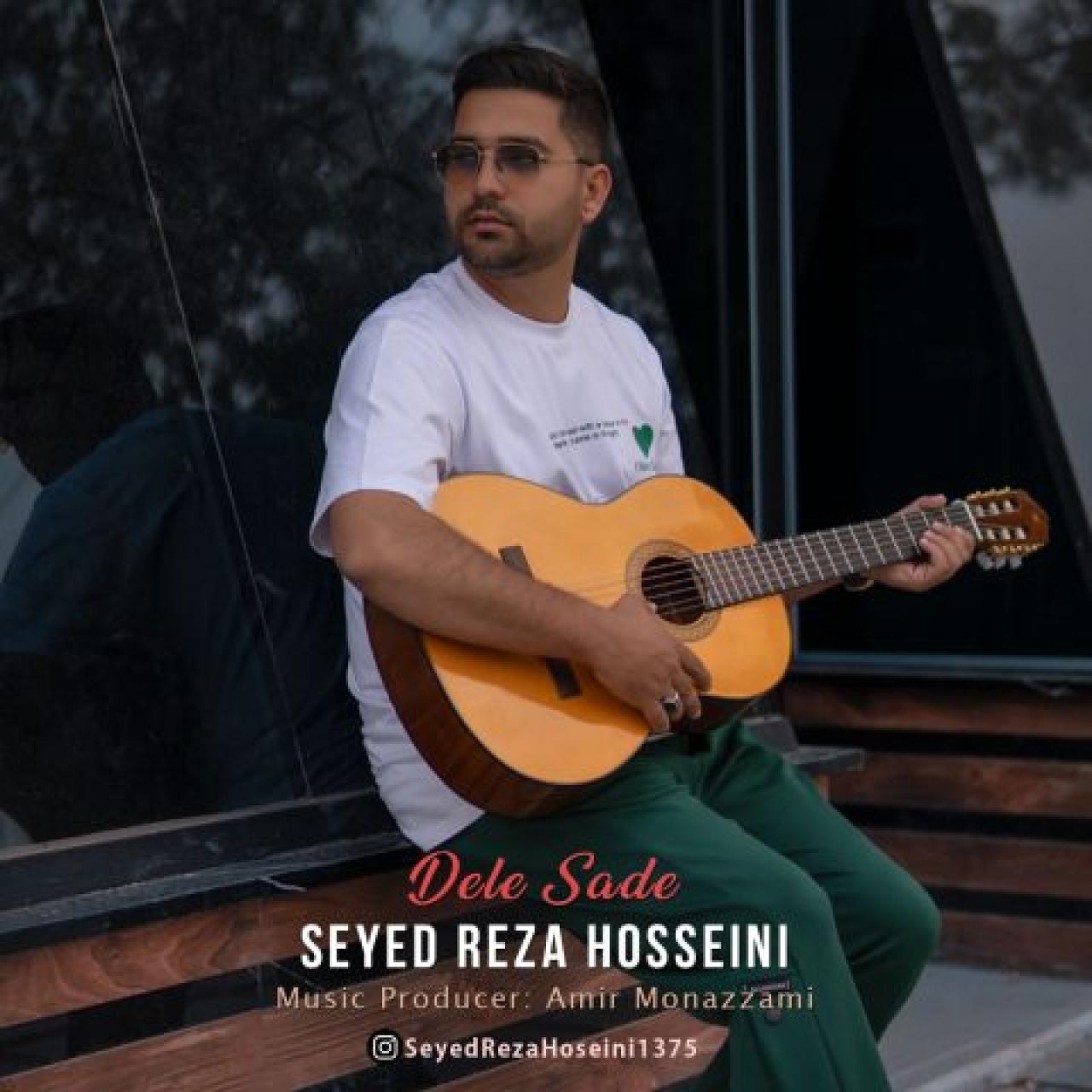 سید رضا حسینی - دل ساده